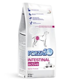 Active Dog Intestinal 22lb