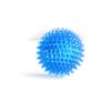 Dog Vocal Toys Puppy Spike Toy Small Dog Spike Pet Molar Toy Pet Toy